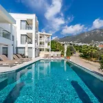 Arden Ege Kalkan カシュ
