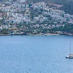 Arden Ege Kalkan カシュ