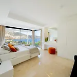 Arden Ege Kalkan カシュ