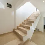 Arden Ege Kalkan カシュ